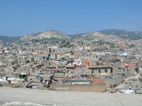 Les nouveaux Planteurs