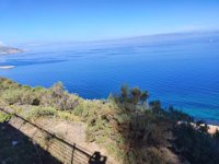 Oran - Autrefois les Genets - 2023