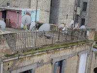 Une terrasse face au N° 11 rue Adolphe Cousin : voyage a oran 2012