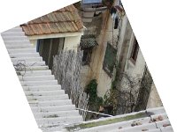 La terrasse du N° 13 rue adolphe Cousin, recouverte. Le petit cabanon était à l'époque, les toilettes : voyage a oran 2012