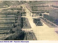 La pépinière municipale.  (Photo Echo de l'Oranie)