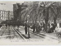 Les palmiers de la place d'Armes. (BNF)