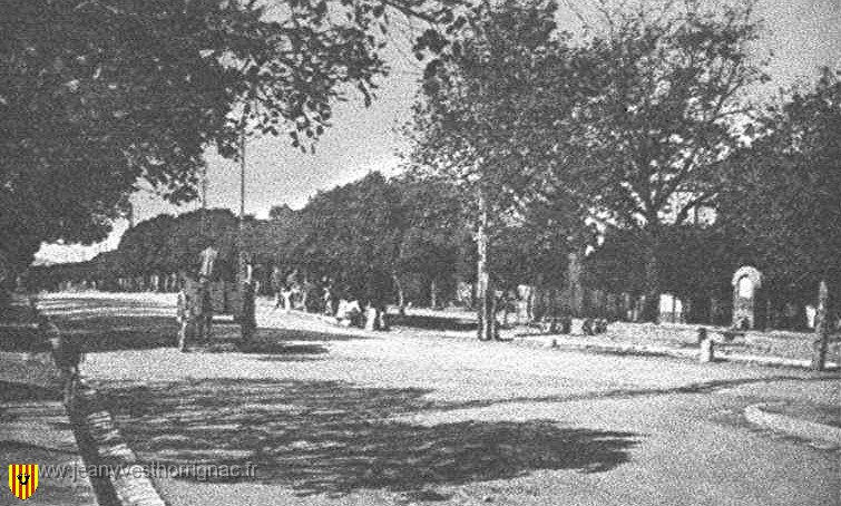 Route d El Ancor.jpg - Route d'El Ançor