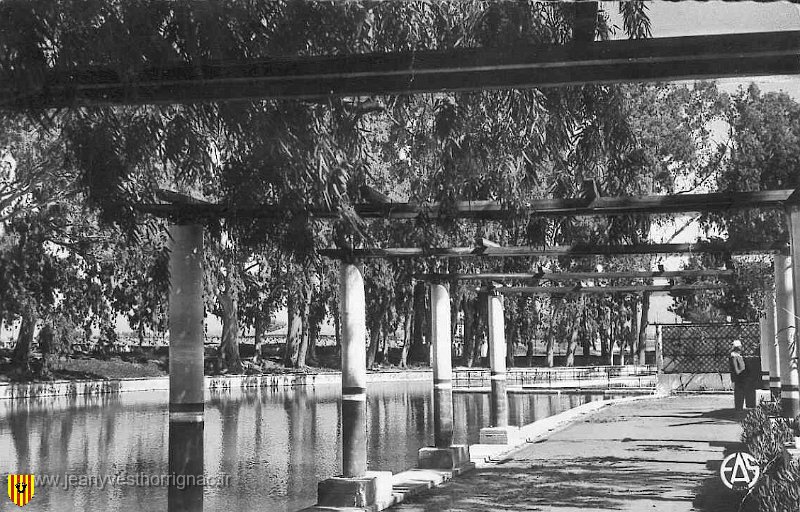 La piscine et la Pergola.jpg - La piscine