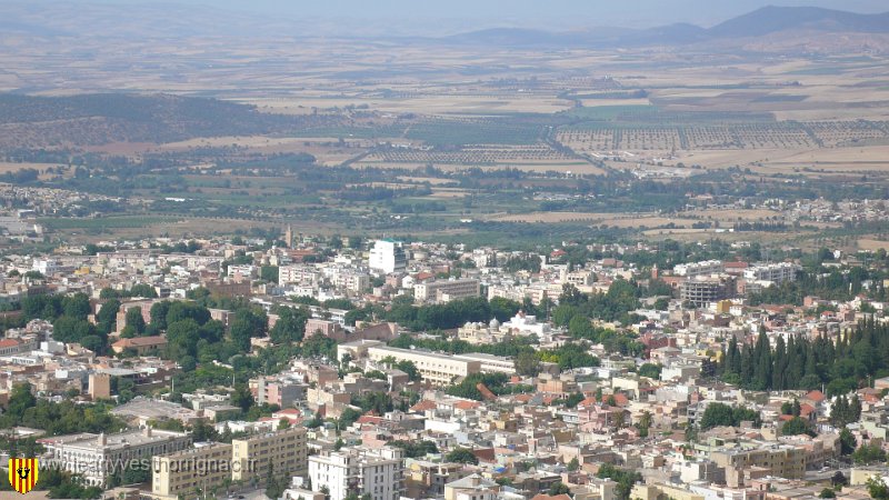 vue sur Tlemcen.JPG - Vue sur Tlemcen