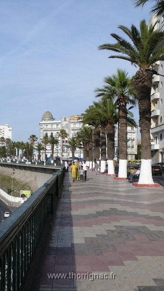 13.JPG - Le Front de Mer - 2010