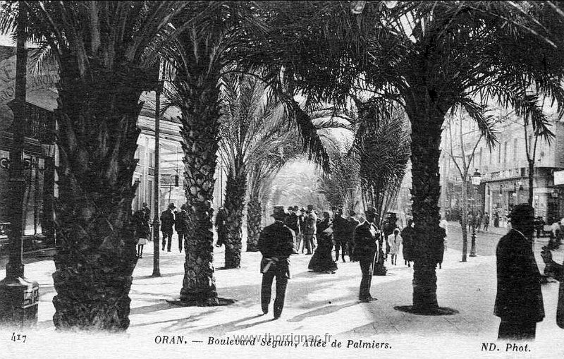 42.jpg - Boulevard Seguin, allées de Palmiers