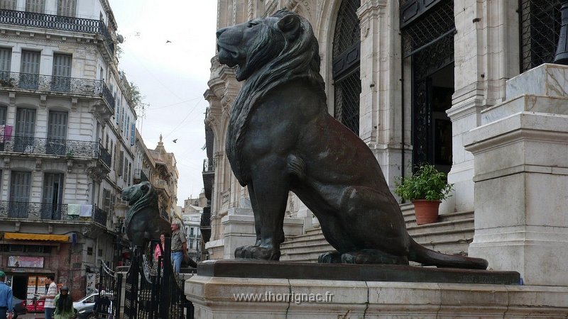 122.JPG - Les lions de l'Hôtel de Ville
