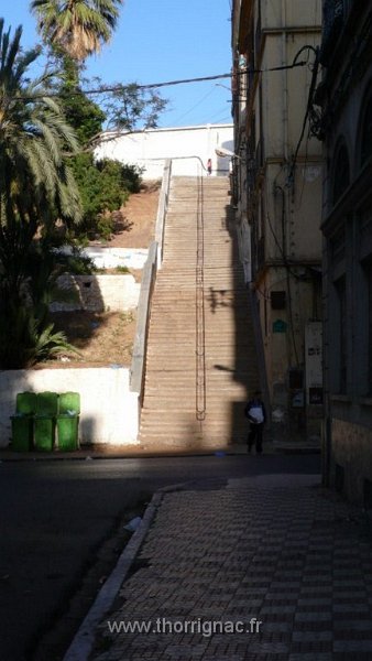 174.jpg - Escalier près de l'ancienne mairie d'Oran . Là-haut la rue Philippe - 2010