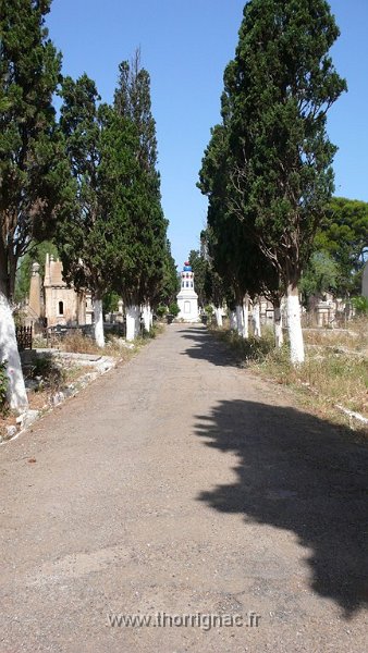 248.JPG - Le cimetière Tamazouet en 2010