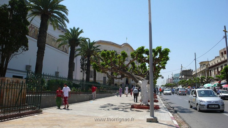 364.JPG - Avenue paul Doumergue, à gauche, le Musée et plus haut, le lycée Ardaillon - 2010