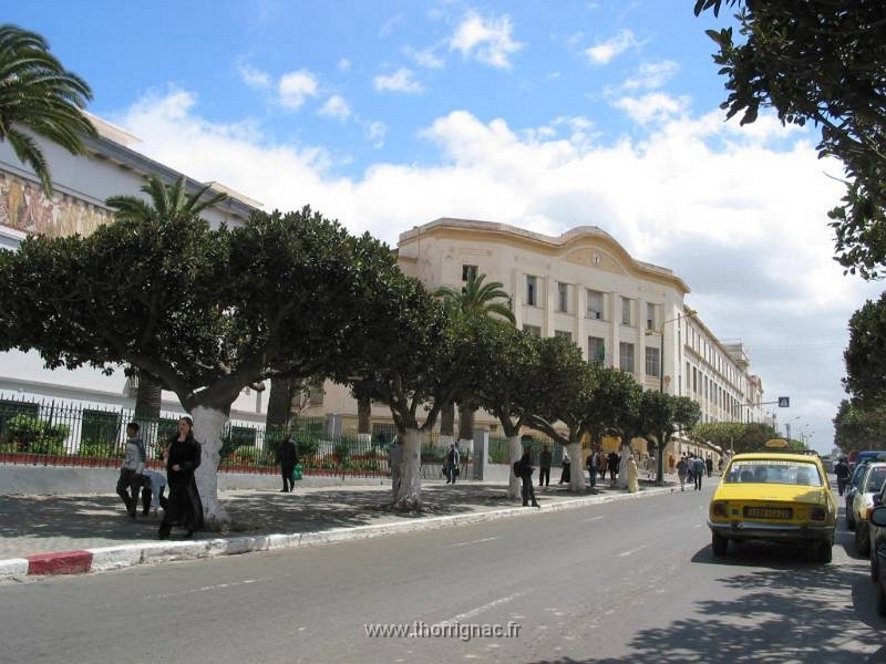 366.jpg - Le Musée à droite et plus haut, le Lycée Ardaillon - 2010