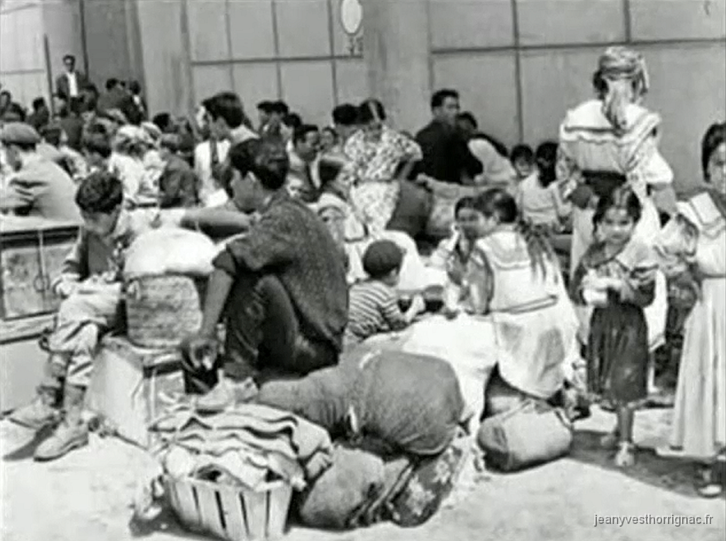 Sans titre 14.png - Exode d'Algérie 1962.