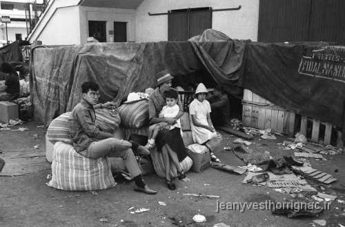 retour2.jpg - Exode d'Algérie 1962.