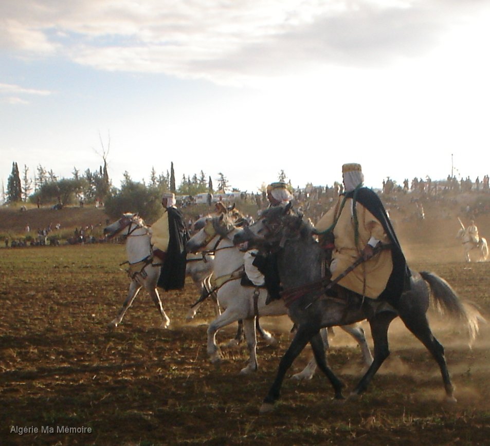 17.JPG - Fantasia autour d'Aïn-Youcef (Lavayssière) en 2008 - Photo Mohamed.