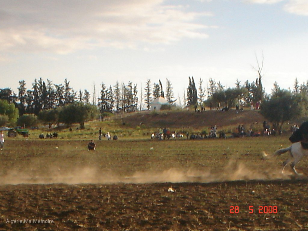 19.JPG - Fantasia autour d'Aïn-Youcef (Lavayssière) en 2008 - Photo Mohamed.