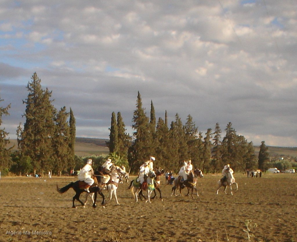 21.JPG - Fantasia autour d'Aïn-Youcef (Lavayssière) en 2008 - Photo Mohamed.