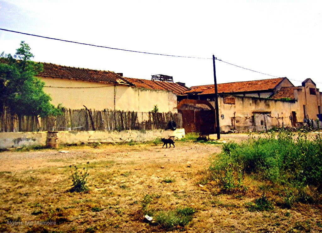 ferme Maureau 4.jpg - Ferme Maureau