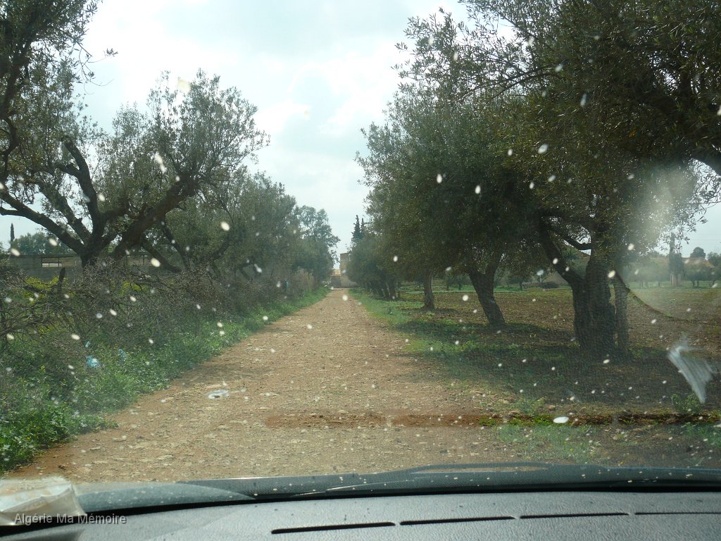 Arrivee ferme Maureau.JPG - Arrivée à la ferme