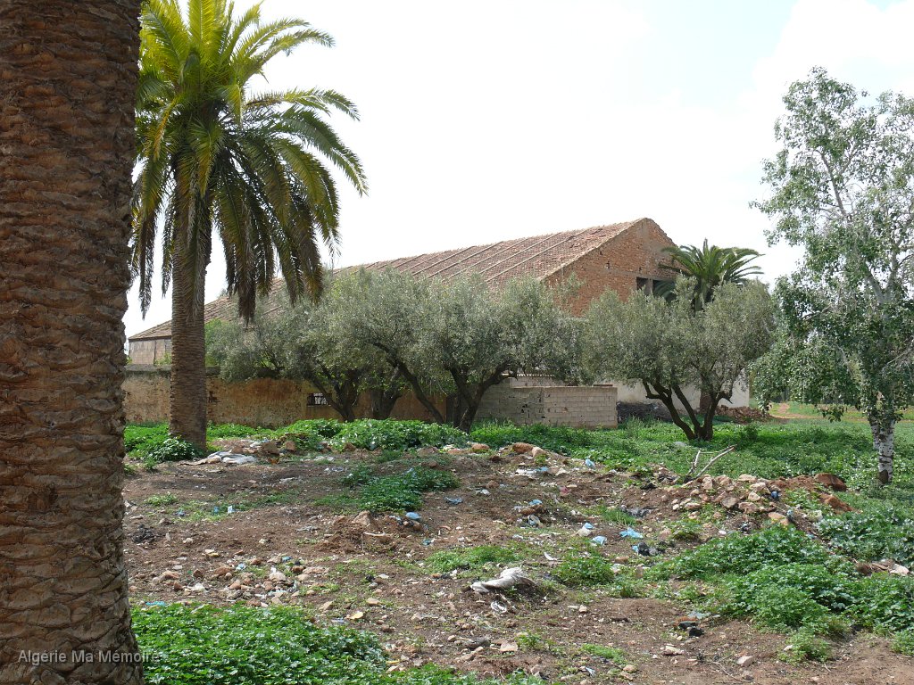 Cave de la ferme.JPG - La cave de la ferme