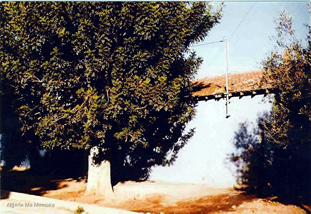 La ferme avant 1962 4.jpg - La ferme après 1962