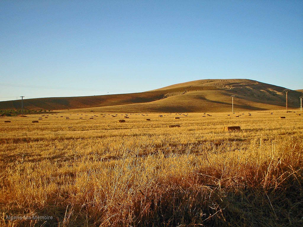 1.JPG - Champ de blé après moisson, autour de Lavayssière - Août 2012                               