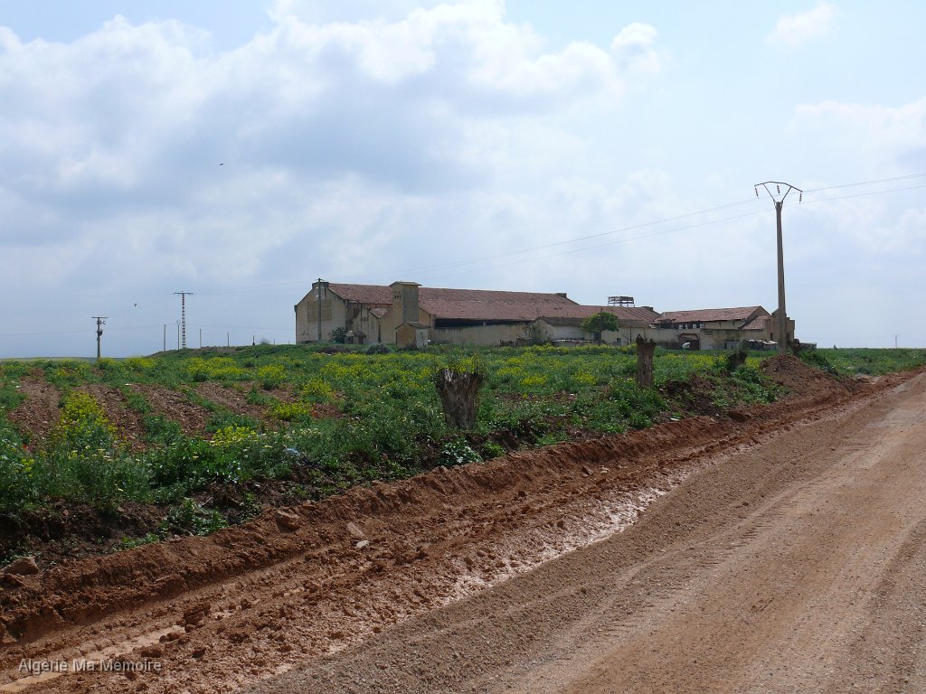 P1010027.JPG - La cave coopérative