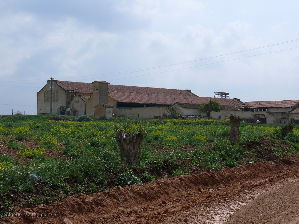 P1010028.JPG - La cave coopérative