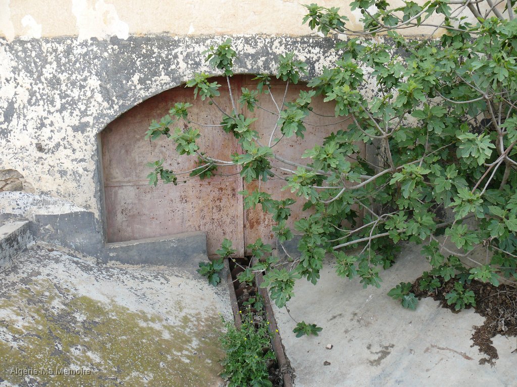P1010031.JPG - La cave coopérative