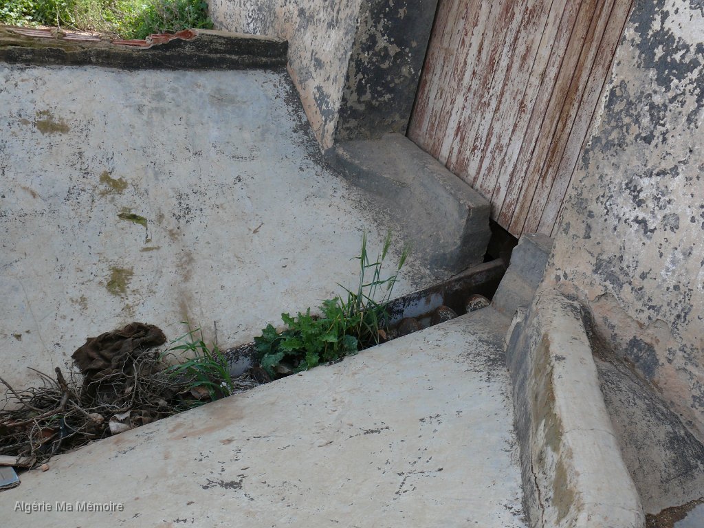 P1010035.JPG - La cave coopérative