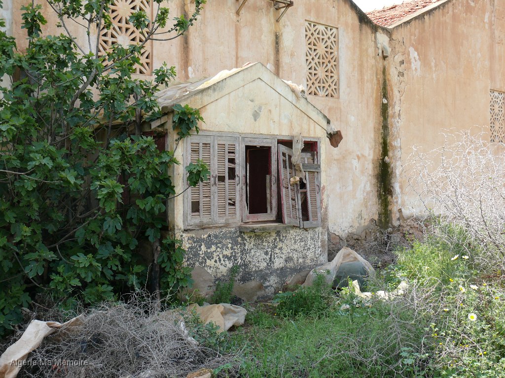 P1010036.JPG - La cave coopérative