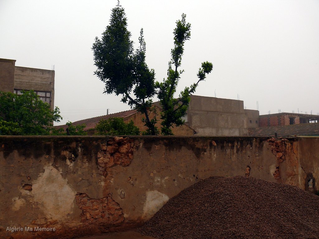 Abre Jeannot Thorrignac.JPG - Arrière maison Jeannot Thorrignac