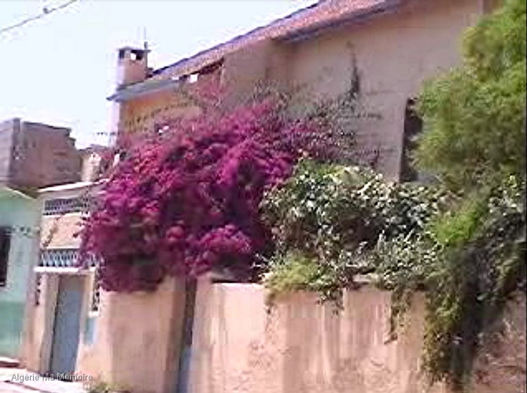 Martinez pere.jpg - Maison Matinez père