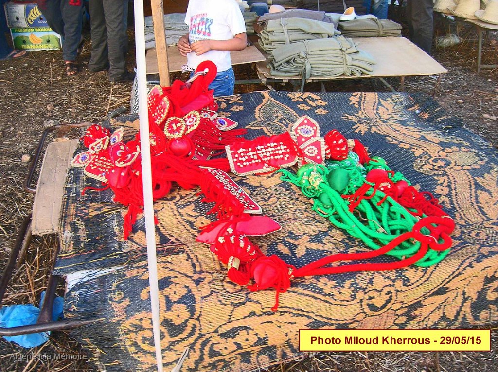 DSCN7628.JPG - Fantasia organisée à droite de l'entrée de Lavayssière en provenance de Remchi (Montagnac) - 29 mai 2015