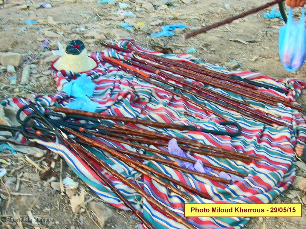 DSCN7631.JPG - Fantasia organisée à droite de l'entrée de Lavayssière en provenance de Remchi (Montagnac) - 29 mai 2015