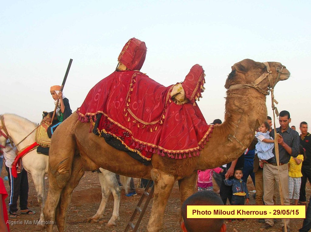 DSCN7633.JPG - Fantasia organisée à droite de l'entrée de Lavayssière en provenance de Remchi (Montagnac) - 29 mai 2015