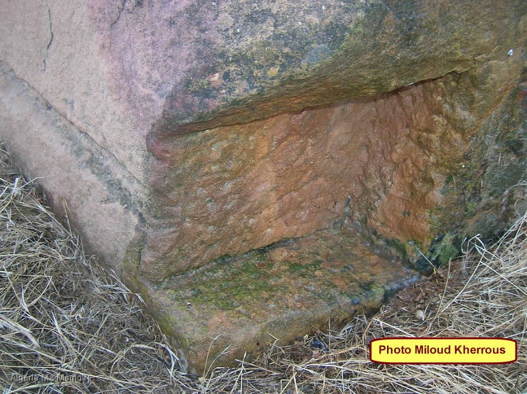 Copie de DSCN7686.JPG