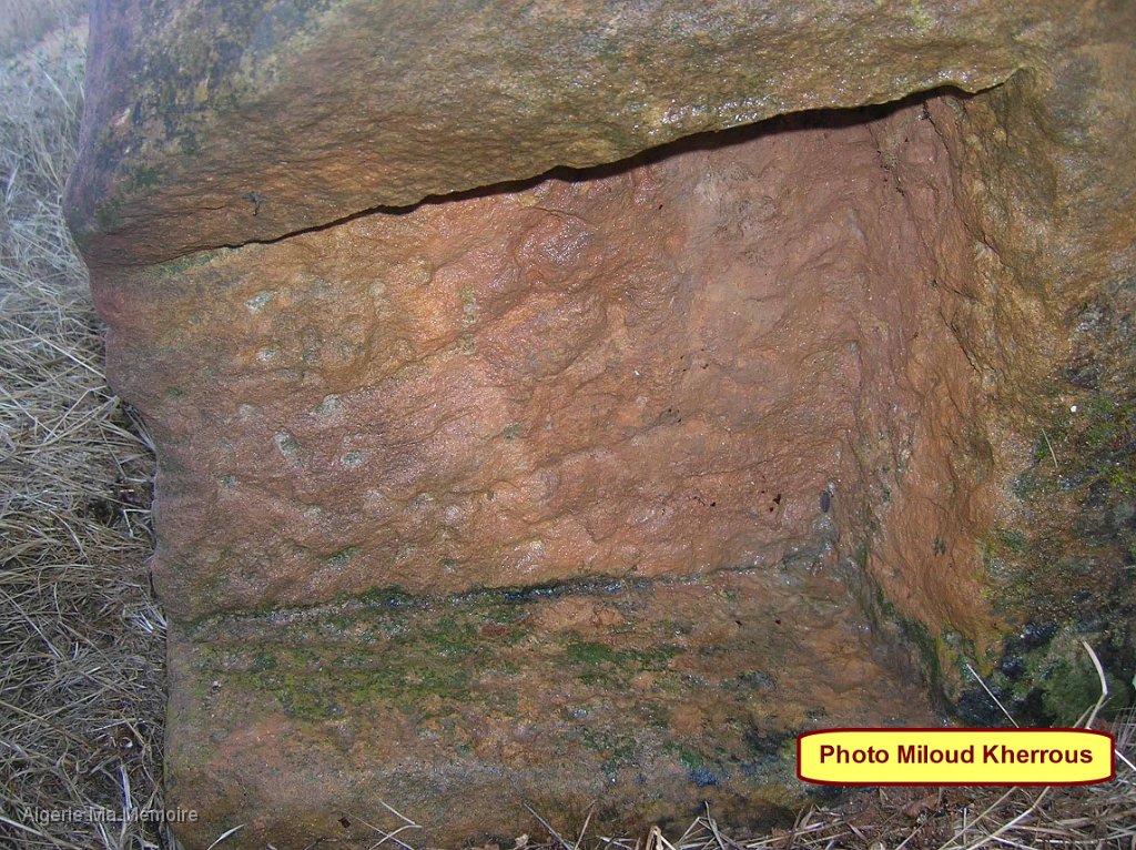 Copie de DSCN7689.JPG