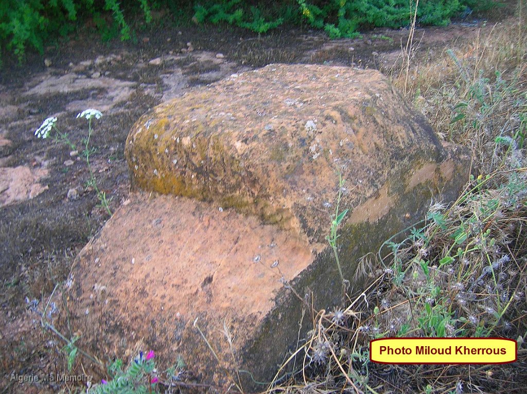 Copie de DSCN7691.JPG