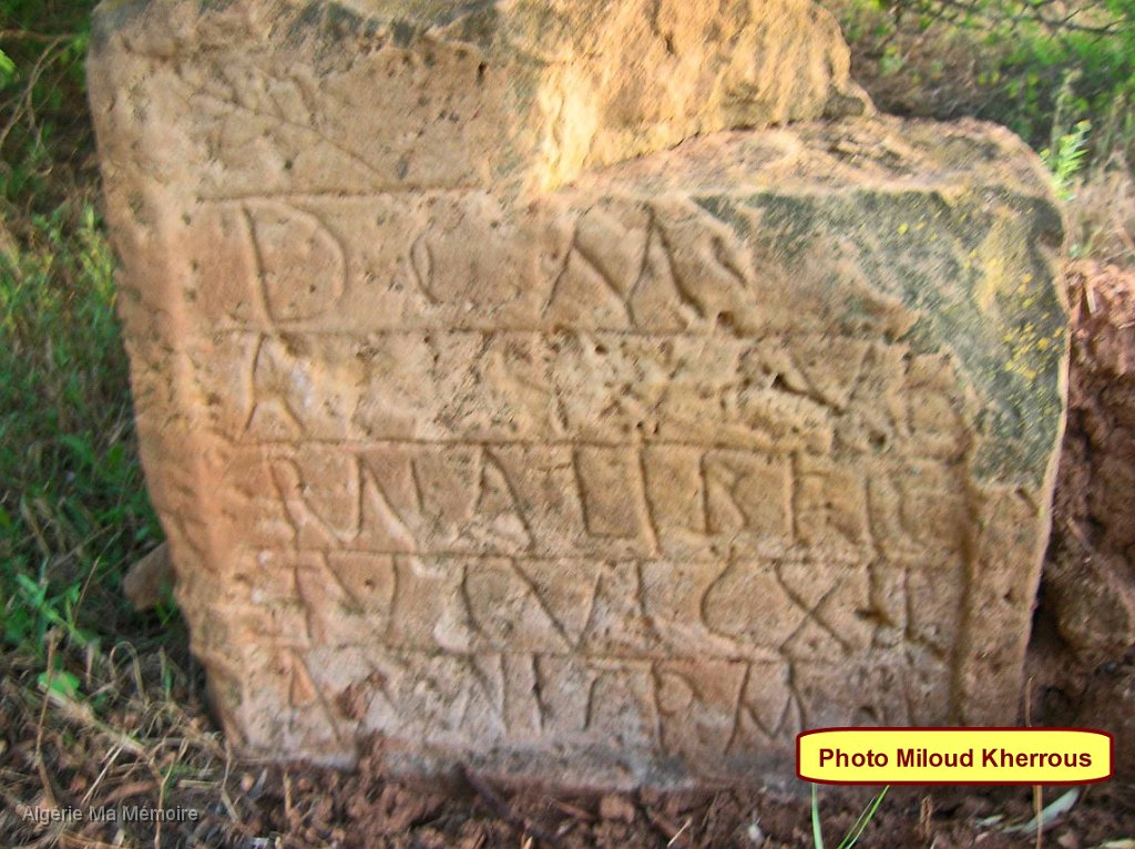 Copie de DSCN7705.JPG