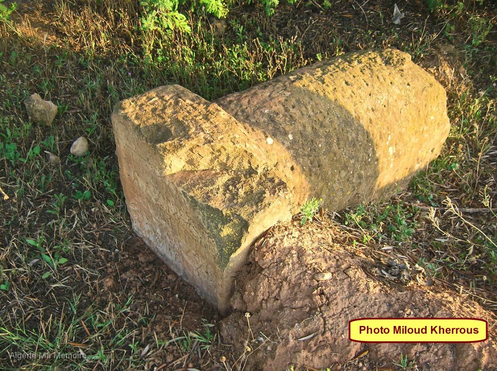 Copie de DSCN7714.JPG