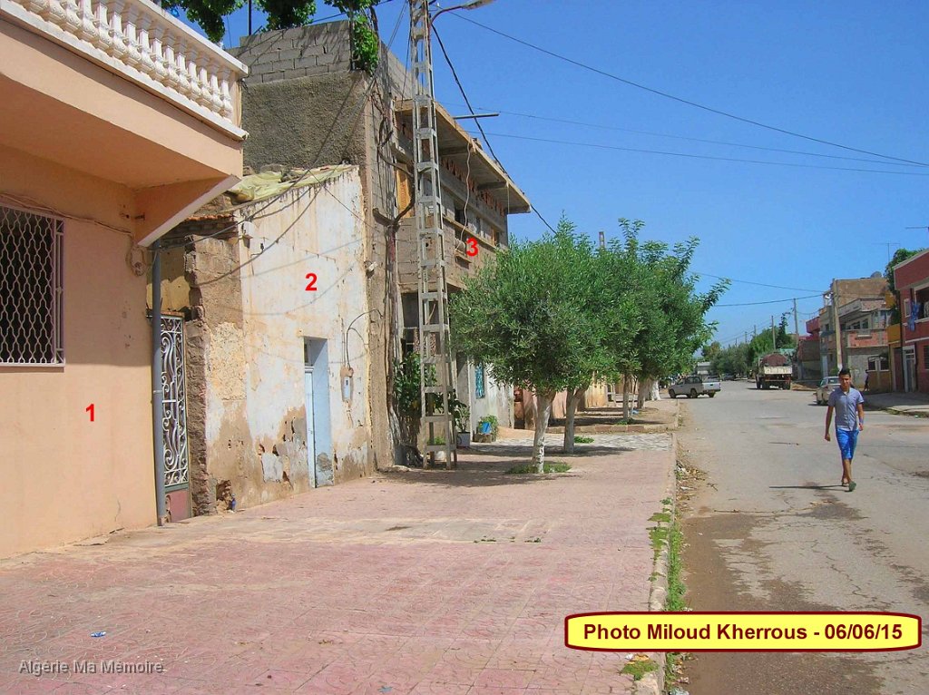 Copie de DSCN7737.JPG