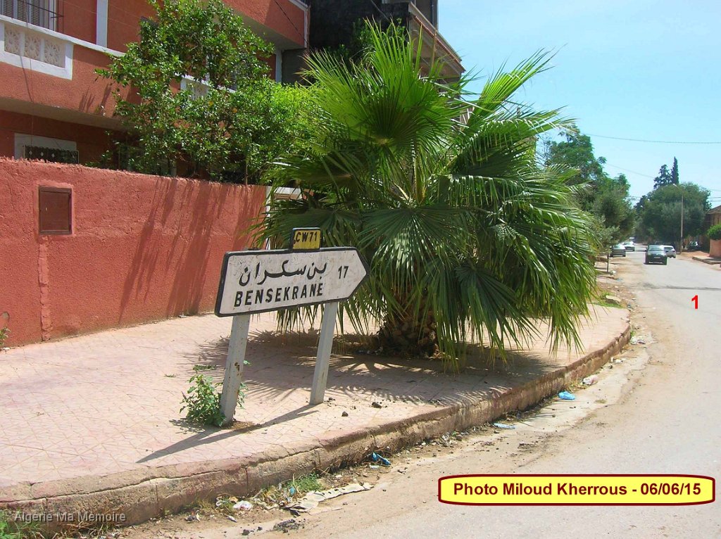 Copie de DSCN7744.JPG