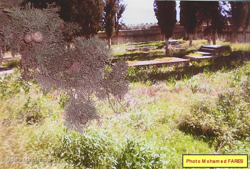 cimetiere 1 libelle.jpg - L'état du cimetière - Mars 2014.