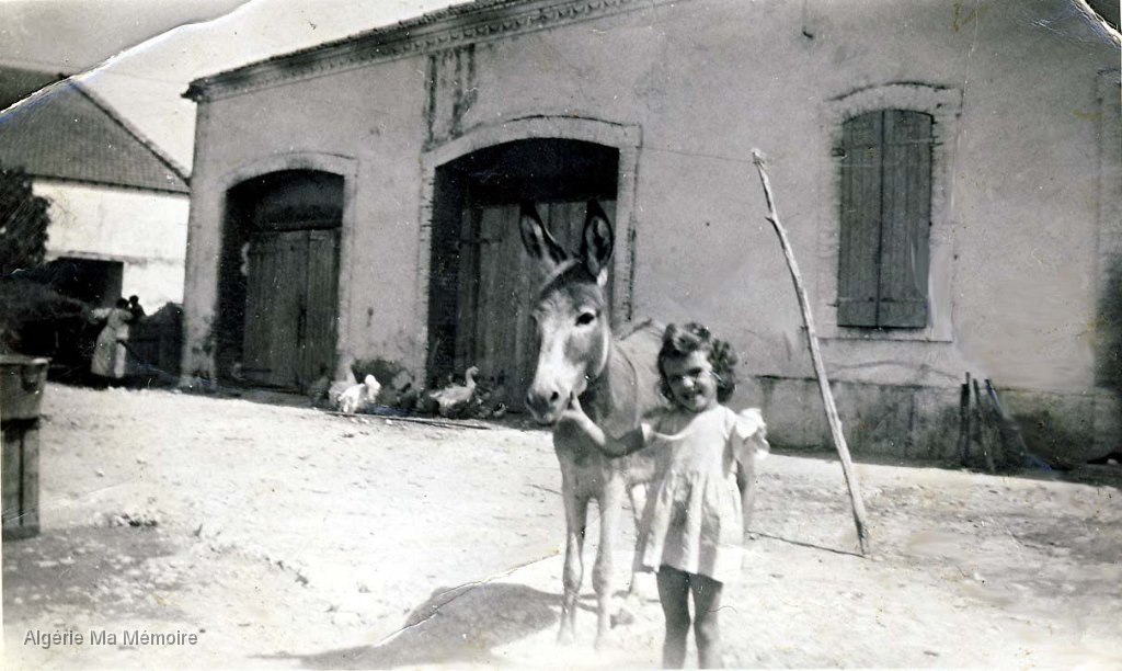 Henriette a la ferme Grasset.jpg - La cour de la ferme Grasset avec Henriette Portalès et son âne. (photo personnelle)