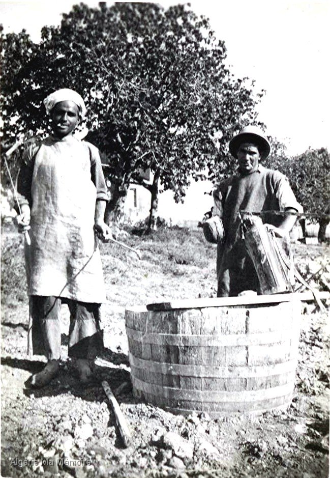 La ferme avant 1962 11.jpg - Le sulfatage. Jean Portales (à droite) et un ouvrier