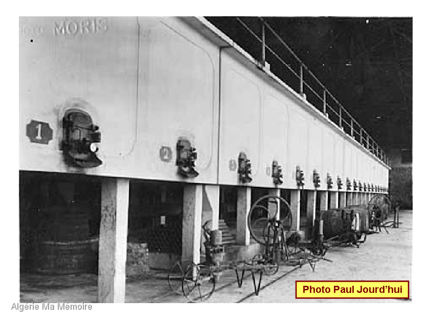 Cave dentele 1 nom.png