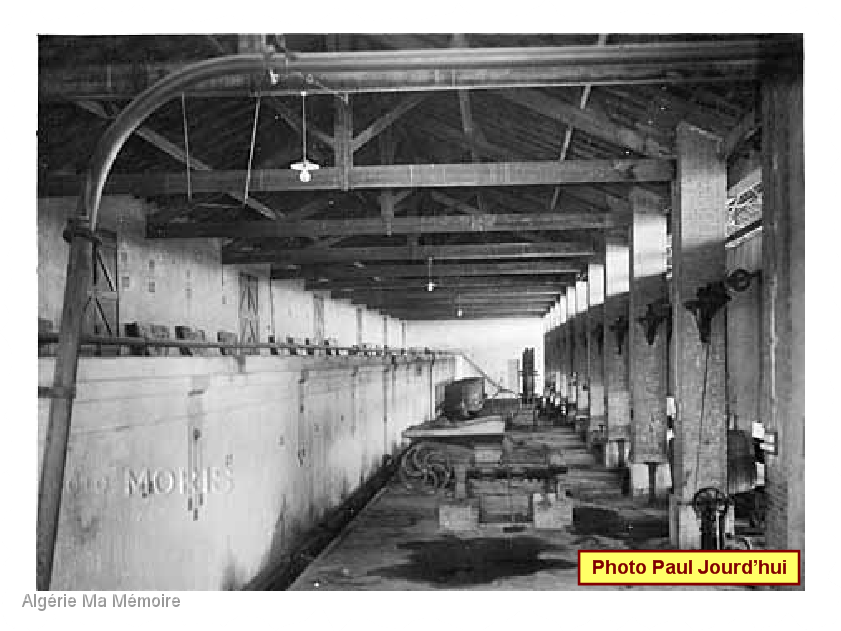 Cave dentele 2 nom.png