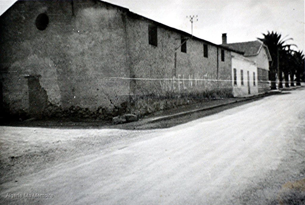 Ferme Auguste Thorrignac 1963.jpg - Ferme Auguste Thorrignac. En haut, les palmiers de la place