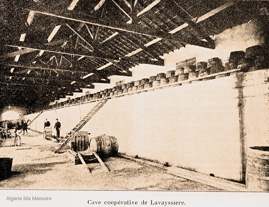 cave cooperative.jpg - La cave coopérative